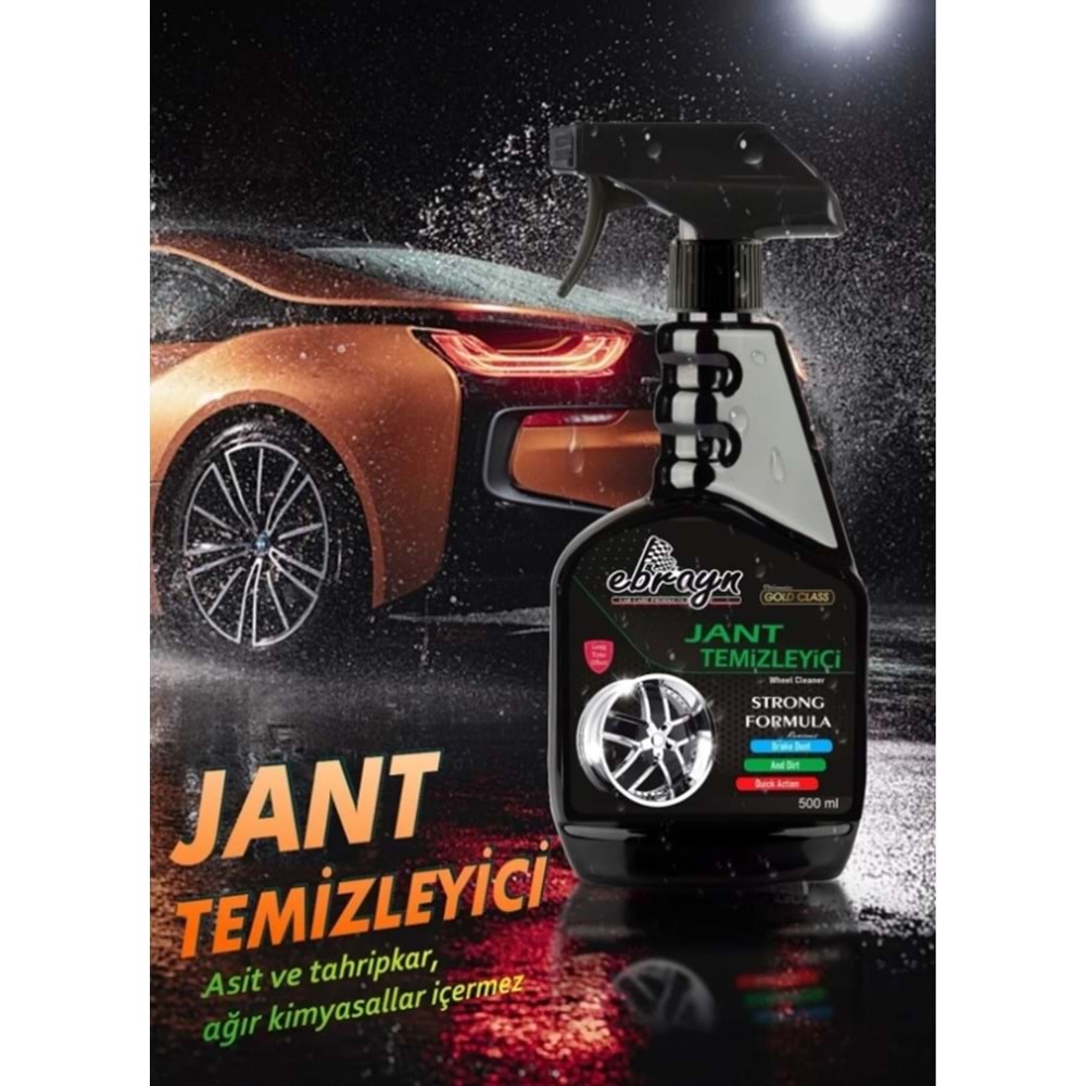 EBRAYN JANT TEMİZLEYİCİ 500 ML