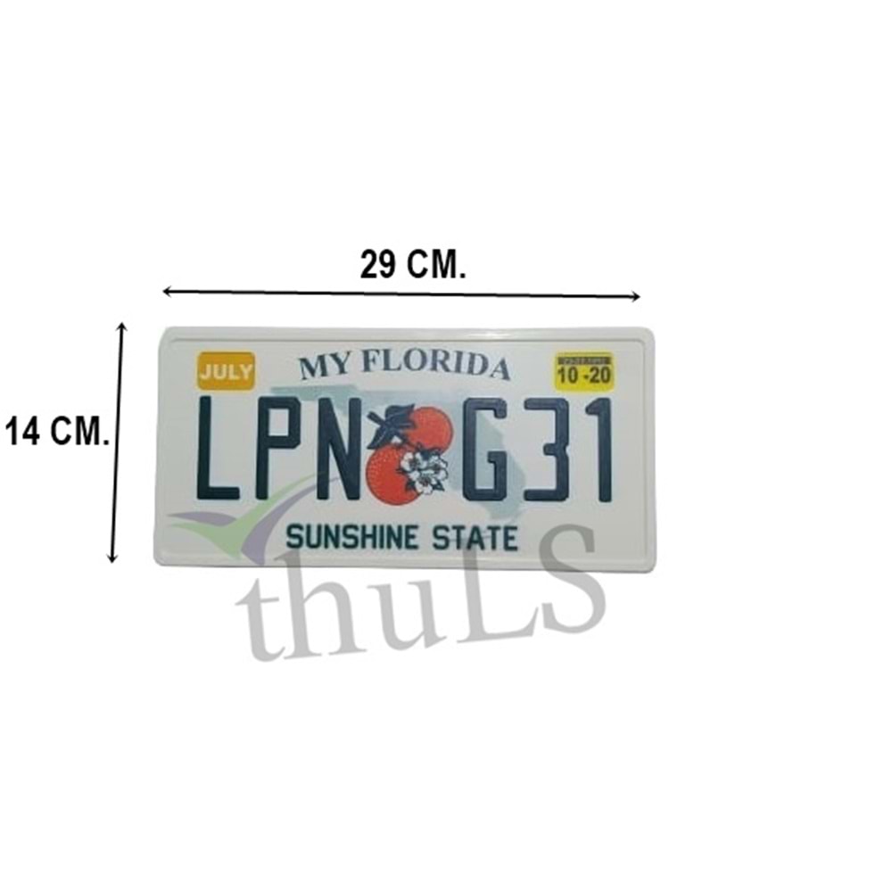 AMERİKAN PLAKA FLORIDA