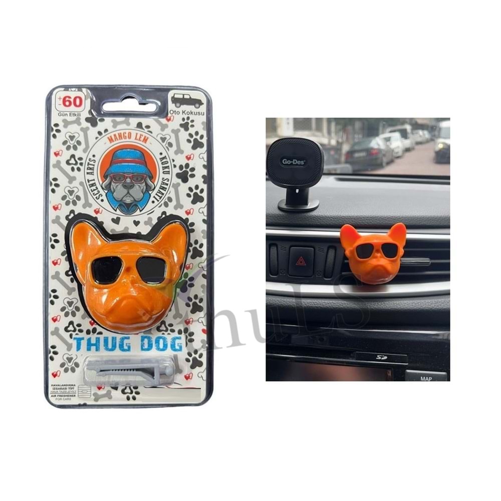 HAYDUT KÖPEK KOKU TURUNCU MELON