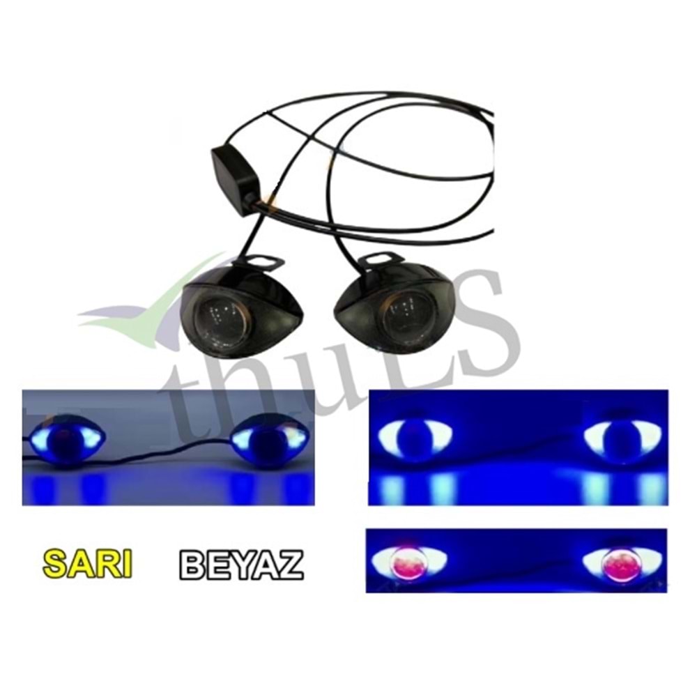 PANJUR İÇİ ÇAKAR KARTAL GÖZ -36 BEYAZ-SARI