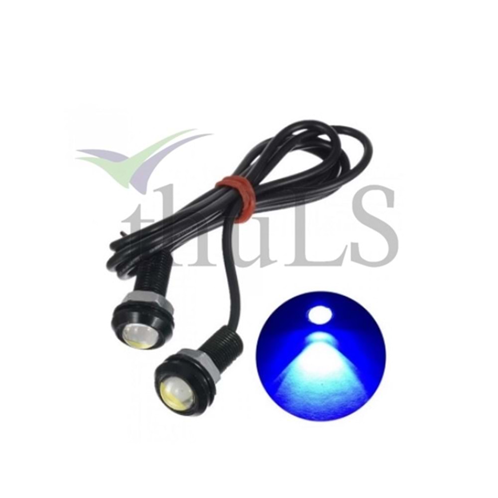 KARTAL GÖZÜ 2Lİ MAVİ