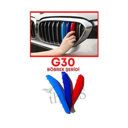 BMW BÖBREK G30 2017-