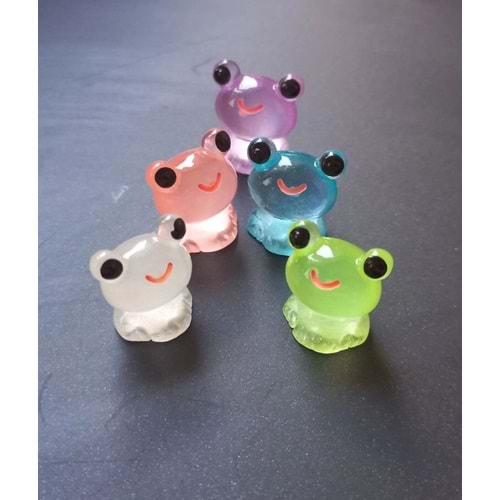 DİKİZ AYNA & TORPİDO SÜSÜ MİNİ KURBAĞA 5Lİ