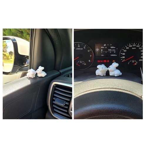 DİKİZ AYNA & TORPİDO SÜSÜ MİNİ TAVŞAN 2Lİ