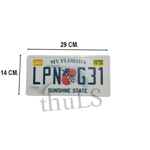 AMERİKAN PLAKA FLORIDA
