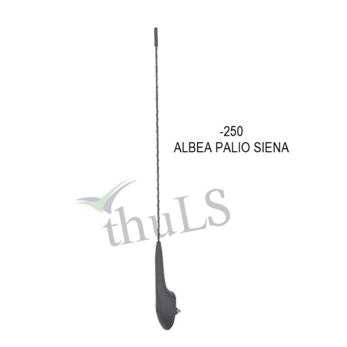 ANTEN TEPE ALBEA-PALIO-SIENA -250
