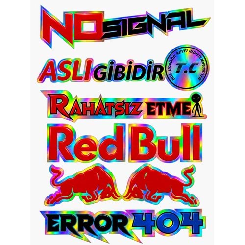 HOLOGRAM GRUP STICKER ARKA CAM -01