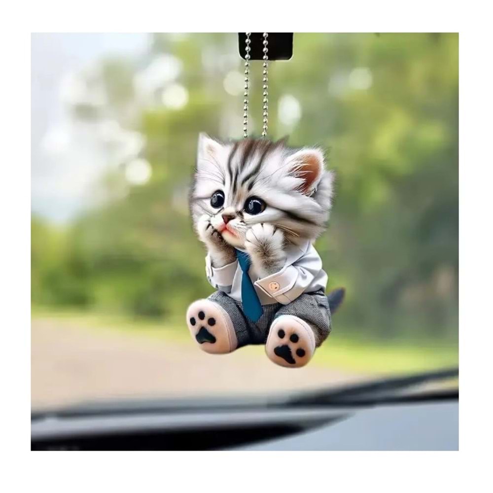 AYNA SÜSÜ -31 KEDİ