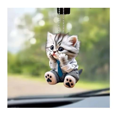AYNA SÜSÜ -31 KEDİ